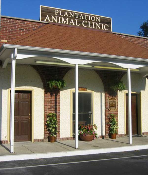 Pet Hospital in Louisville | Cat & Dog Veterinarians